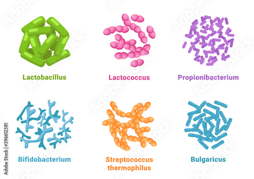 Probiotic set lactobacillus, lactococcus, propionibacterium, bifidobacterium, streptococcus thermophilus, bulgaricus isolated icons. Vector positive bacterium microorganisms, healthy microscopic cells