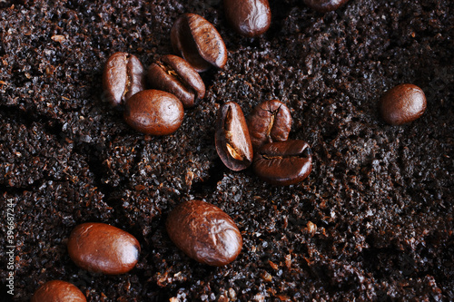 A close up image of a used paper coffee filter, dark coffee grounds, and coffee beans. 