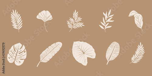 Ten vector tropical leaves, vector isolated on the beige background. Hand drawn plant (banana and monstera) illustration. Vector botanical illustration.