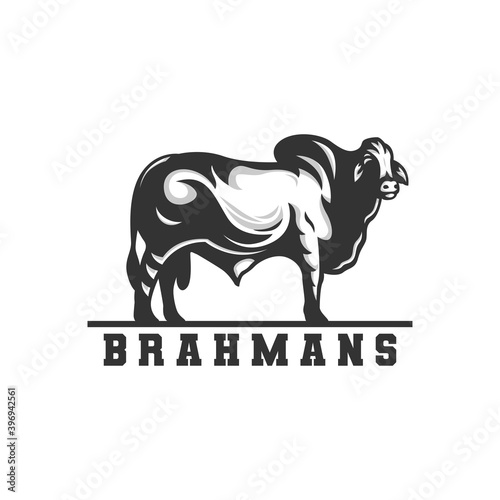 brahman cow logo, vector logo.