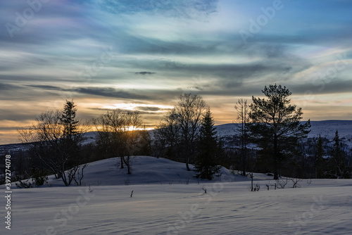 Winter landscape from Holtaalen, Norway.