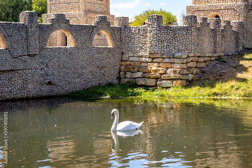  lovely white swans floating in the pond near the castle
