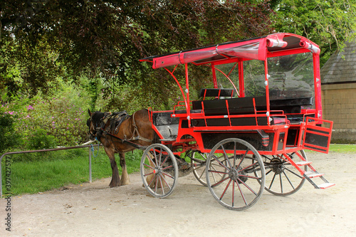 calèche et cheval