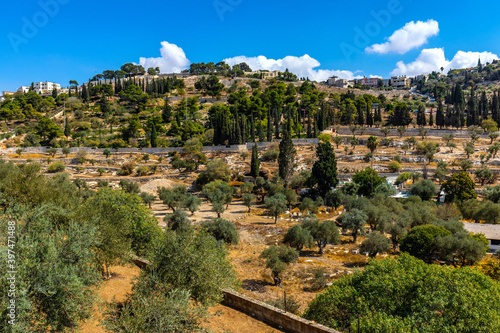 Panoramic view of Orson Hyde Memorial Garden on Mount of Olives, in Kidron reiver valley near Jerusalem, Israel