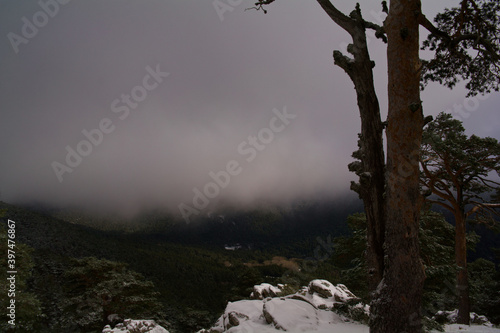 krajobraz góry drzewa natura śnieg las 