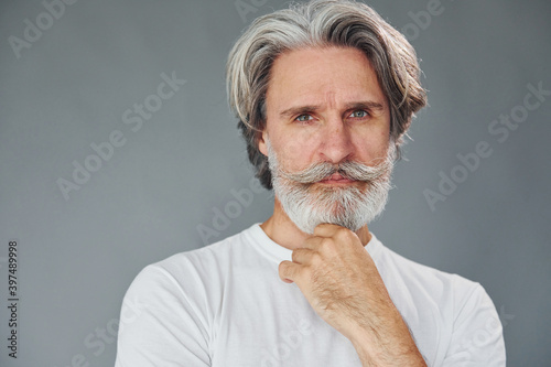 Beautiful portrait. Stylish modern senior man with gray hair and beard is indoors