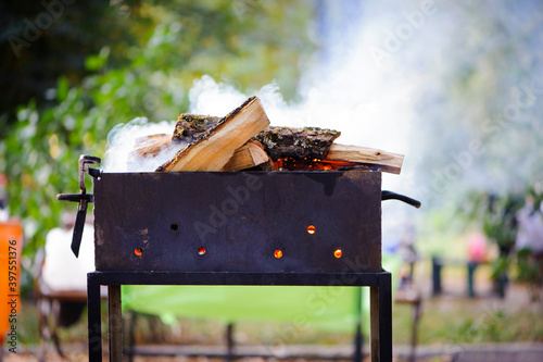 metal brazier with fire wood for barbeque picnic outdoors during summer weekend, heavy smoke before cooking grilled meat, fish, vegetables