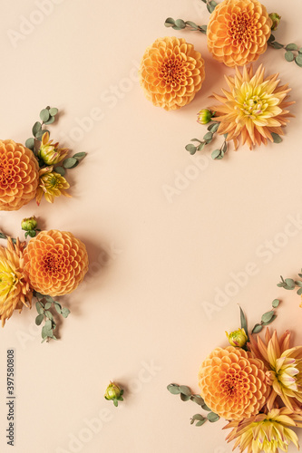 Frame made of beautiful ginger dahlia flower buds on peachy pastel background. Blank copy space mockup template.