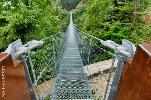 bridge in the forest, photo as a background , in pasubio mountains, dolomiti, alps, thiene schio vicenza, north italy