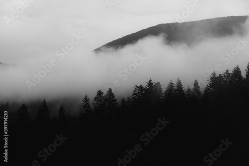 Czarno biały krajobraz bieszczadzkiego lasu iglastego z unoszącymi się nad nim chmurami oraz sylwetką wysokiej góry na horyzoncie, Bieszczady, Polska