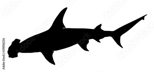 hammerhead shark silhouette vector