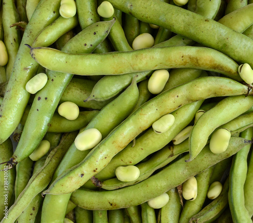 Broad beans close-up