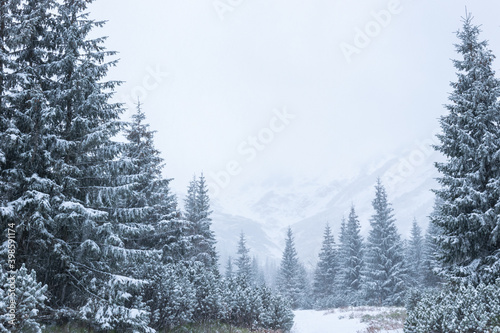 Zimowy szlak górski w Tatrach