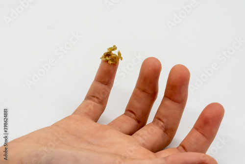 Closeup nose booger on kid little finger to heal herself from Flu effect isolated on white