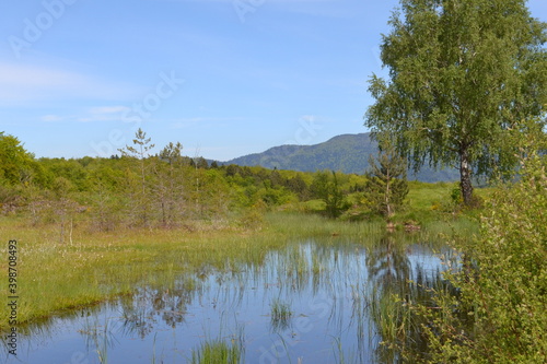 Région des mille étangs, 1000 étangs, plateau des mille étangs en Haute-Saône