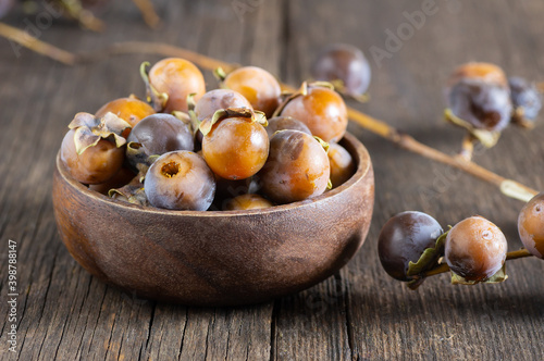 Ripe small persimmon fruit, black date or palm berries with branch on wooden background, (Diospyros lotus), copy space for text