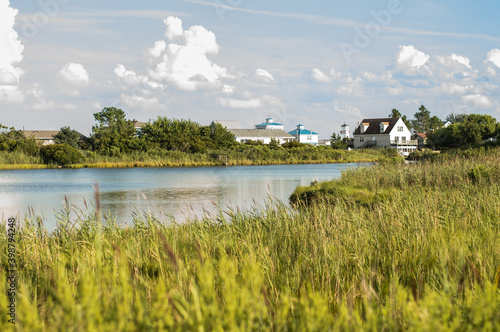 Vibrant summer afternoon in the Virginian coastal wetlands