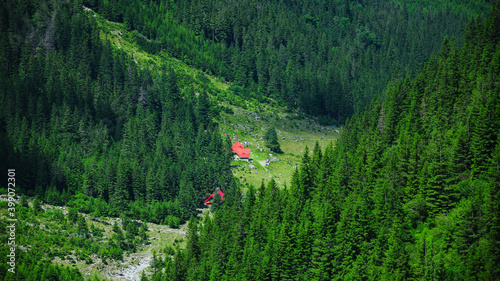 Sambata cabin seen from above between the forested mountain sides of Fagaras Mountains. The cabin is located in a green alpine pasture, Carpathia, Romania.