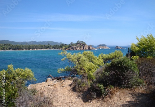 view of the sea behind trees