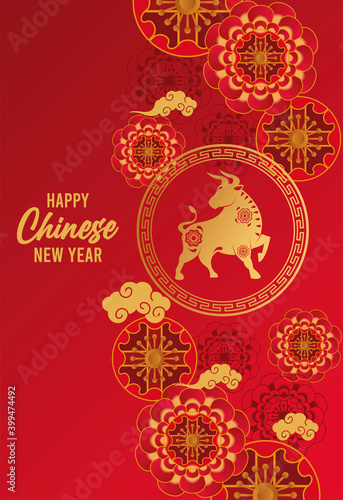 happy chinese new year lettering card with golden ox and red laces in clouds