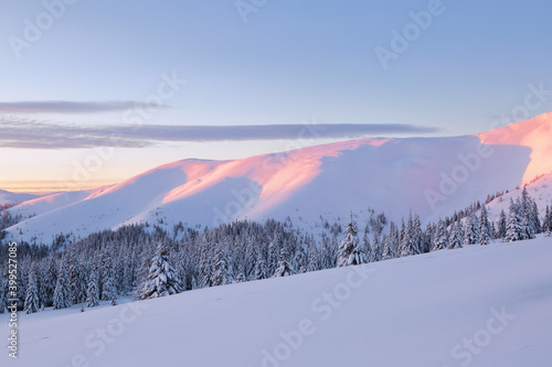 High mountain. Winter forest. Amazing sunrise. Lawn covered in snow. Natural landscape with beautiful sky. Snowy background. Location place the Carpathian, Ukraine, Europe.