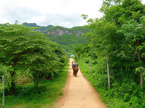 elephant trekking