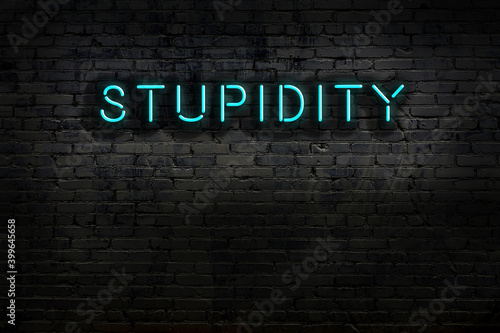 Neon sign. Word stupidity against brick wall. Night view