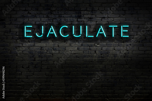 Night view of neon sign on brick wall with inscription ejaculate