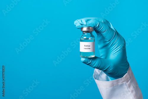 A doctor or lab technician in blue gloves holds a rabies vaccine with a place to text. Prevention in veterinary medicine. Rabies in wild and domestic animals, foxes, cats and dogs