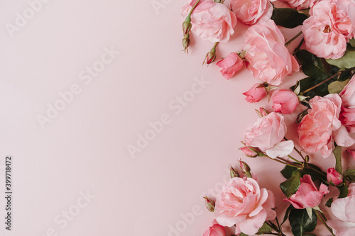 Pink rose flowers bouquet on pink background. Flat lay, top view minimal floral composition.