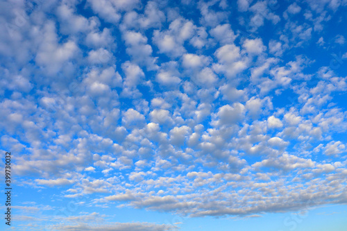 Little altocumulus clouds in the blue sky in morning