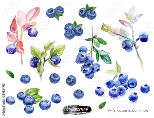 Blueberries set watercolor illustration isolated on white background