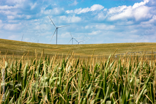 Nebraska corn fields with wind turbines