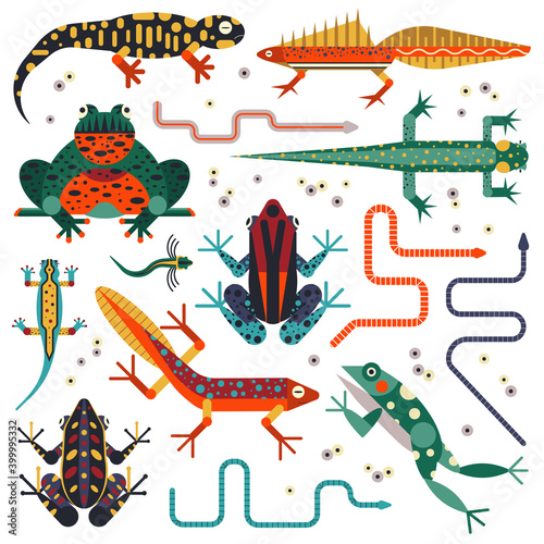 Amphibians and Frogs Flat Design Animal Set