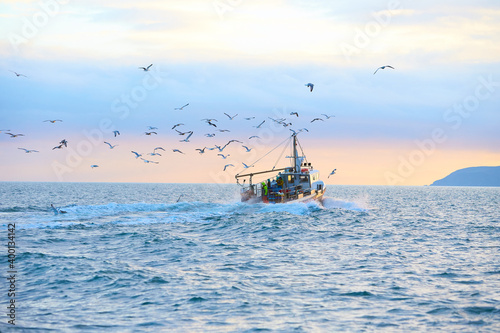 Fishing boat surrounded by black-headed gulls in coming back to the port at the sunset