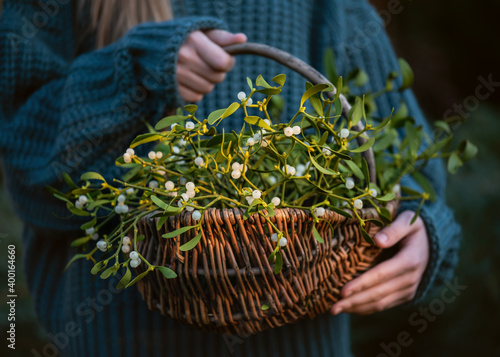 Young girl holding a wicker basket with mistletoe branches with green leaves and white berries. (Viscum album). Christmas tradition concept. Selective focus.