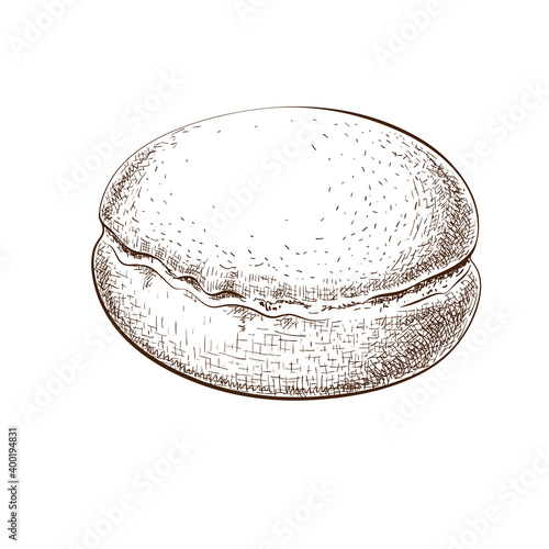 fresh powdered berliner donut hand drawn illustration. german doughnut sketch isolated on white background. engraved vintage style. fraed round bun filled with jam. sweet traditionan european dessert.