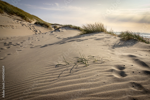 footprints in the dunes, texel island, netherlands
