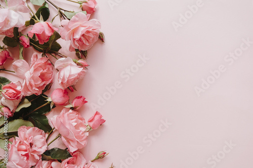 Pink rose flowers bouquet on pink background. Flat lay, top view minimal floral composition.