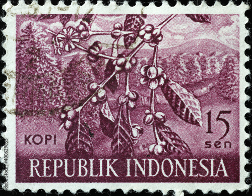 Coffee cultivation on indonesian postage stamp