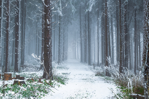 Zima v lese, Bílé Karpaty