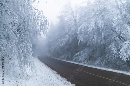 Zima v lese, Bílé Karpaty