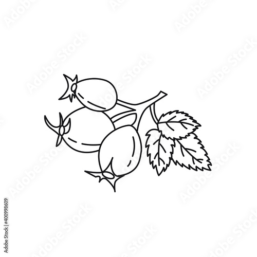 Black and white drawing of wild rose berries. Clip art. Suitable for postcards, flyers, banners, invitations. Vector illustration for art therapy, antistress coloring page for adults and children.