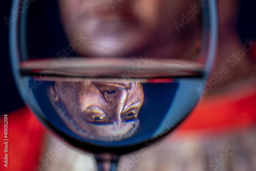Inverted reflection in the goblet of water of the classic portrait of Cardinal Ludovico Trevisan created by Italian artist Andrea Mantegna in 1459