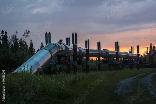 Trans-Alaska pipe line in summer in sunset time