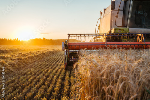 Combine harvester harvests ripe wheat. Concept of a rich harvest. Agriculture image