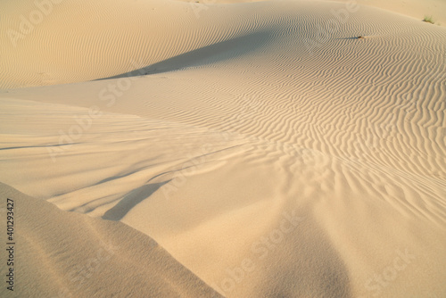 Arabian desert sand dunes. Abstract background.