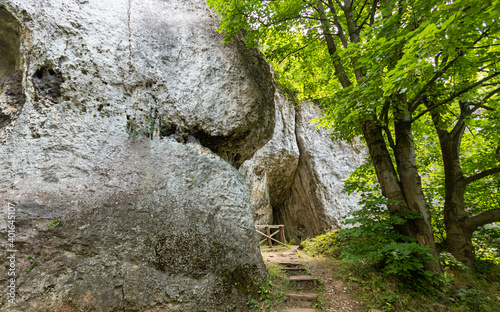 rocks in the Kraków-Czestochowa Upland