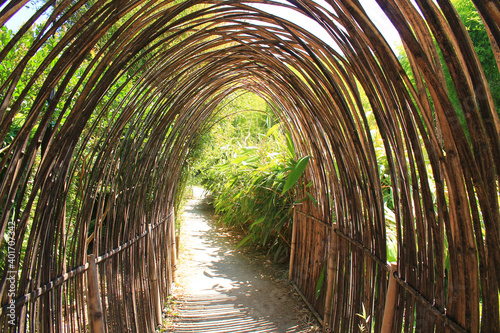 The famous Prafrance bamboo garden, a wonderful exotic garden at Anduze, France 