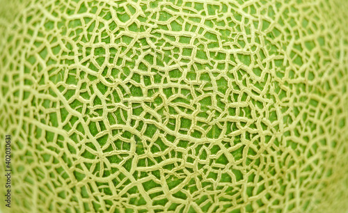 Unique pattern on the green peel of cantaloupe melon or muskmelon fruit, closed up for background.melon texture and surface.